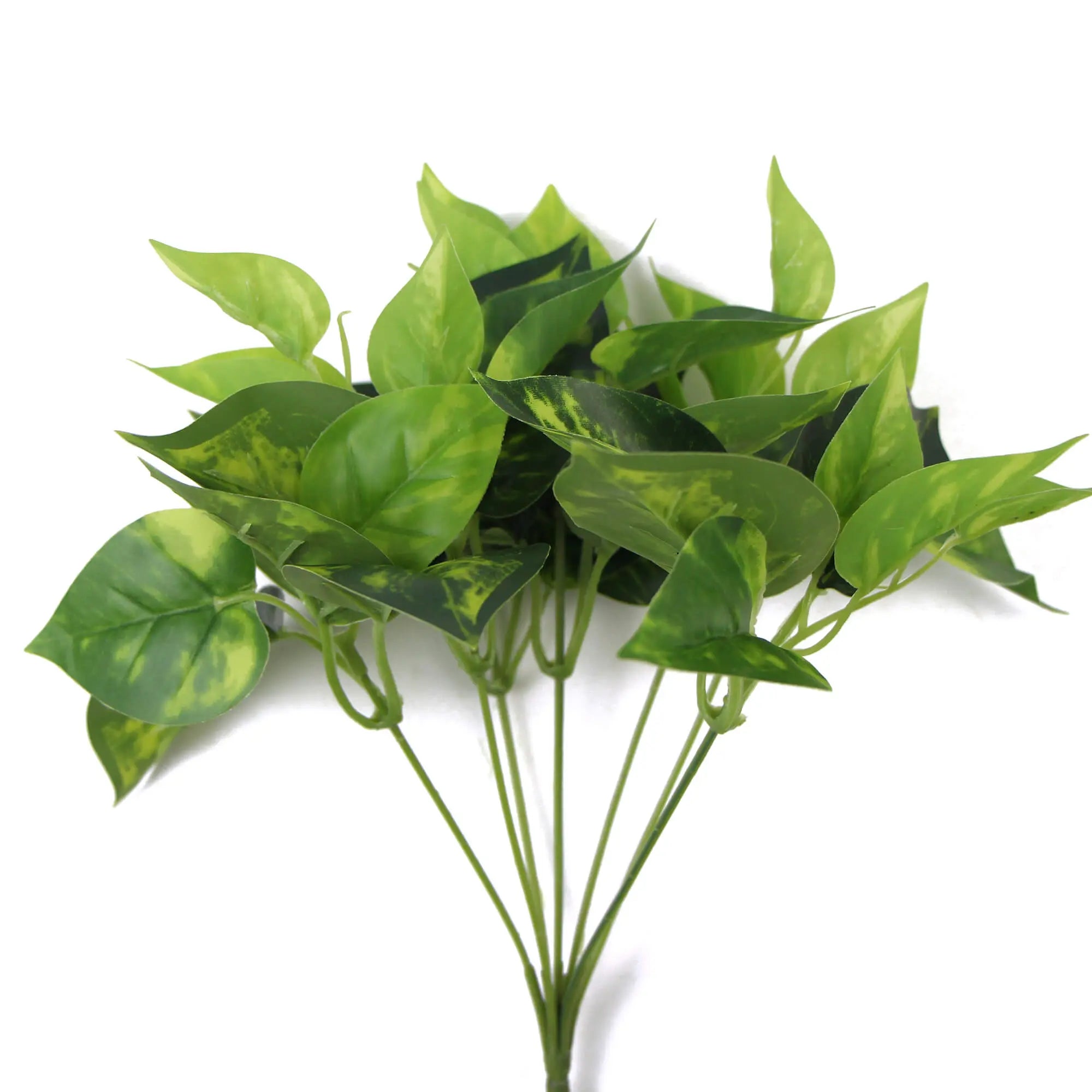 Artificial Pothos / Devil's Ivy Bush 9.5" 