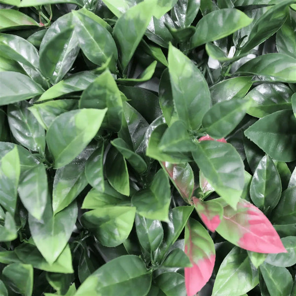 Artificial Photinia Hedge Panel Wall 40" x 40" 11SQ FT Commercial Grade UV Resistant 
