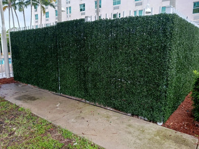 Dark Artificial Boxwood Wall 40" x 40" 11SQ FT Commercial Grade UV Resistant 