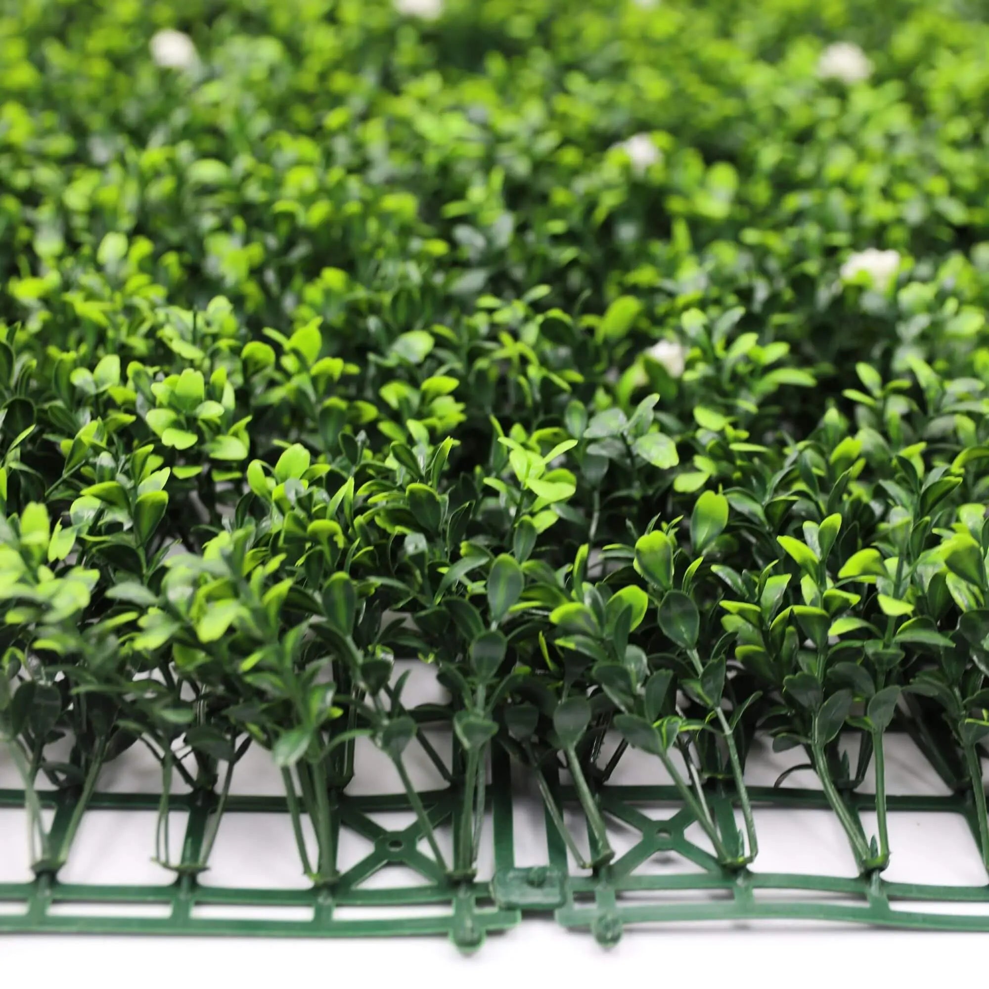 Sample Panel of White Flowering Artificial Boxwood Wall (Small Sample) Commercial Grade UV Resistant 