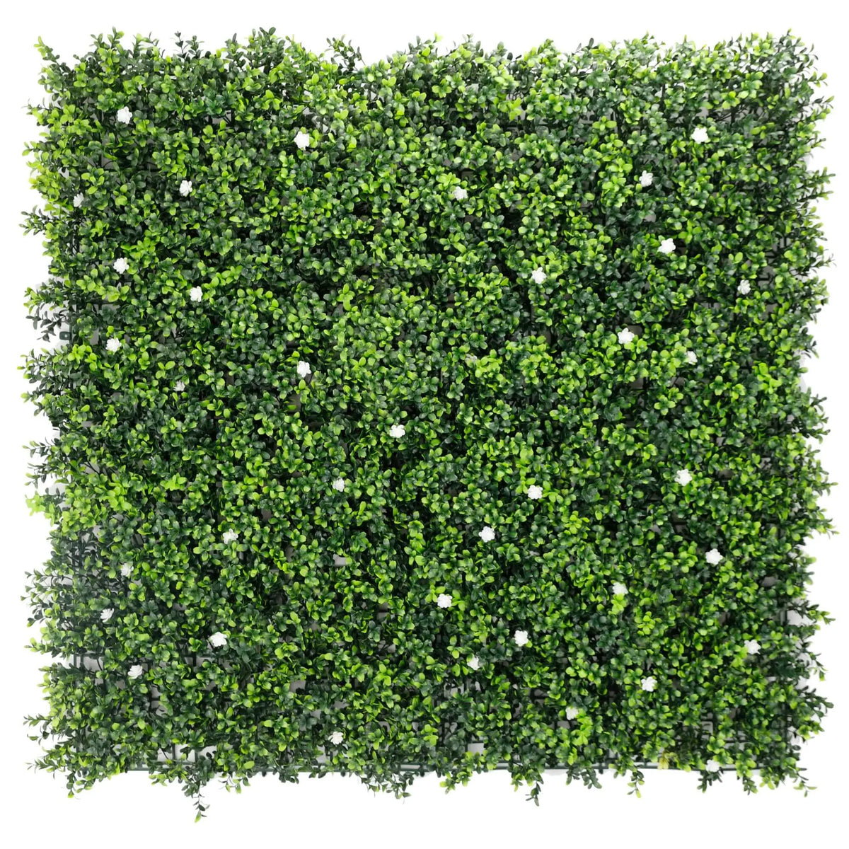 Sample Panel of White Flowering Artificial Boxwood Wall (Small Sample) Commercial Grade UV Resistant 