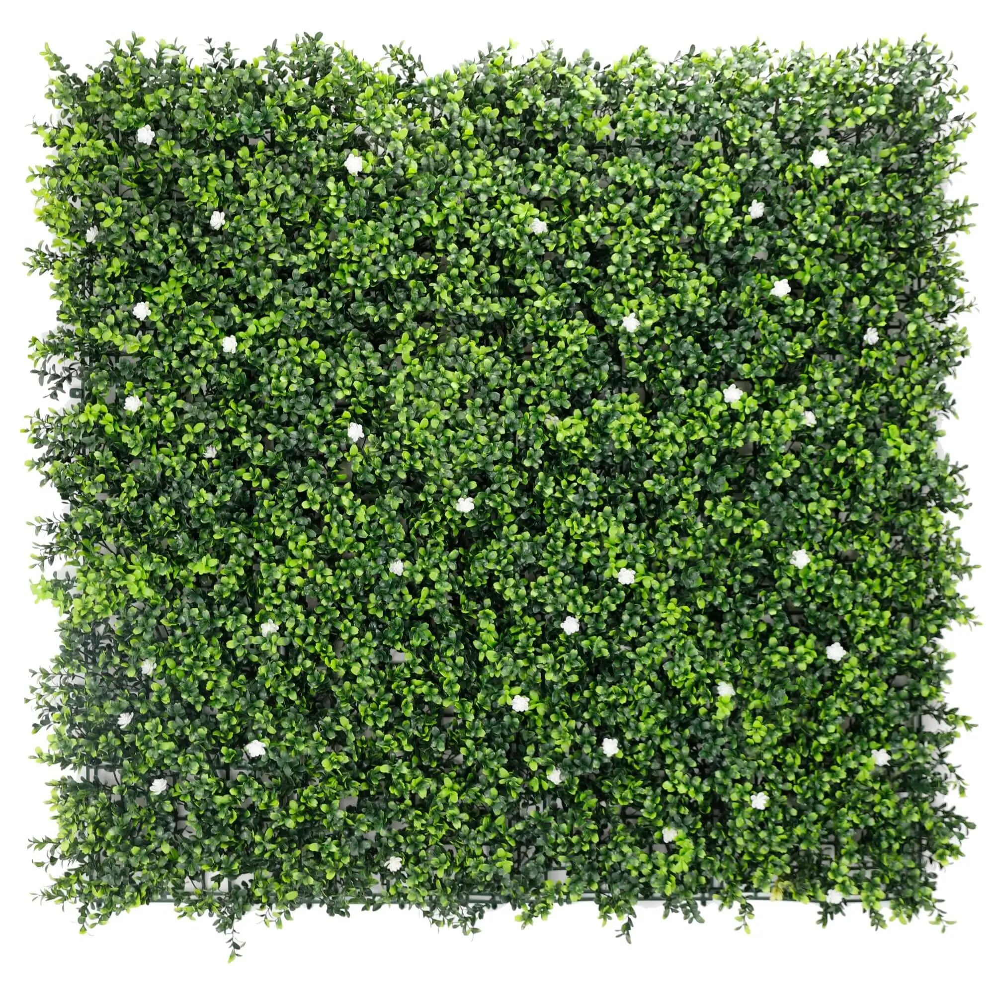 Sample Panel of White Flowering Artificial Boxwood Wall (Small Sample) Commercial Grade UV Resistant 