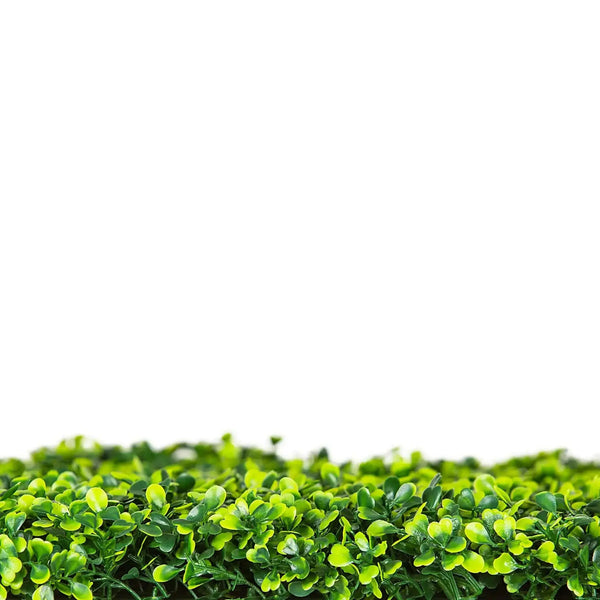 Artificial Mixed Boxwood Hedge Panel Wall 40" x 40" 11SQ FT Commercial Grade UV Resistant 