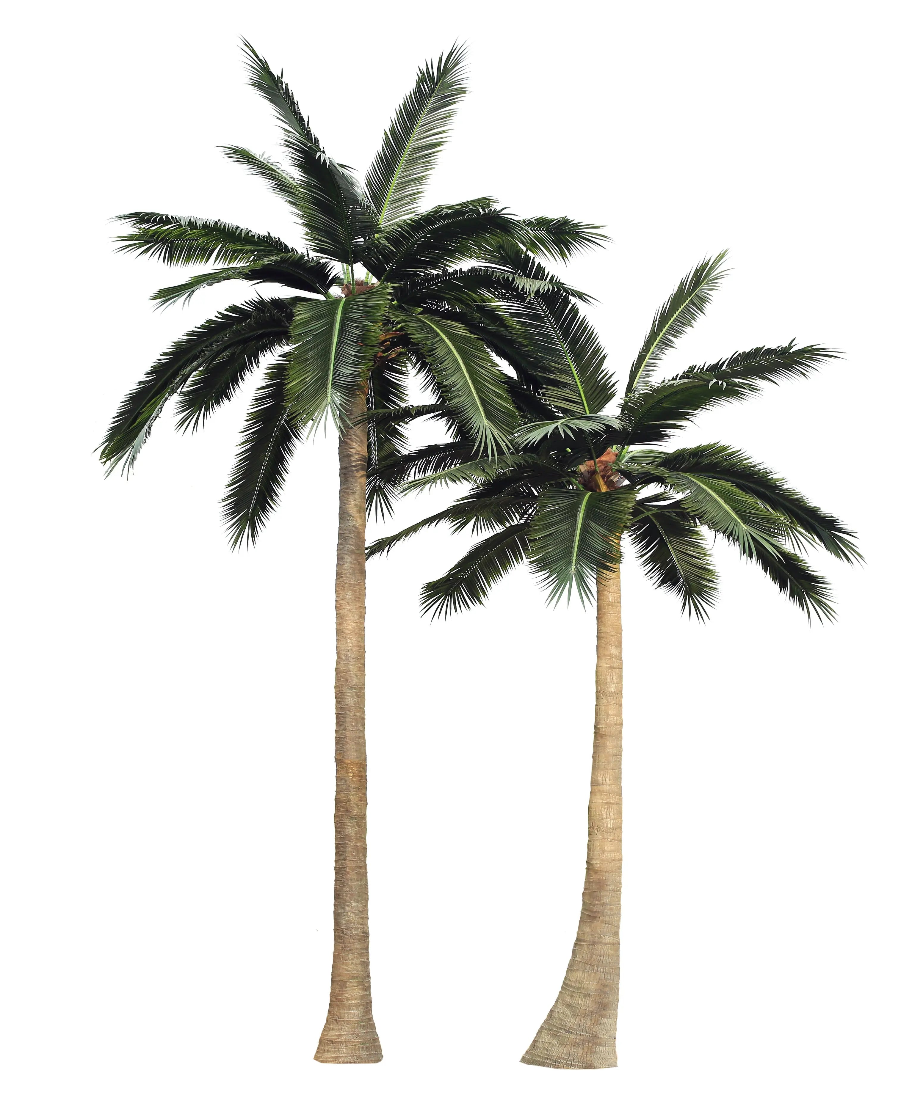Monumental artificial palm trees installed at a luxury residential driveway entrance
