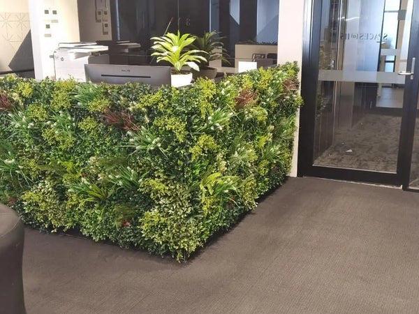 A low office partition covered with mixed green foliage beside glass entrance doors
