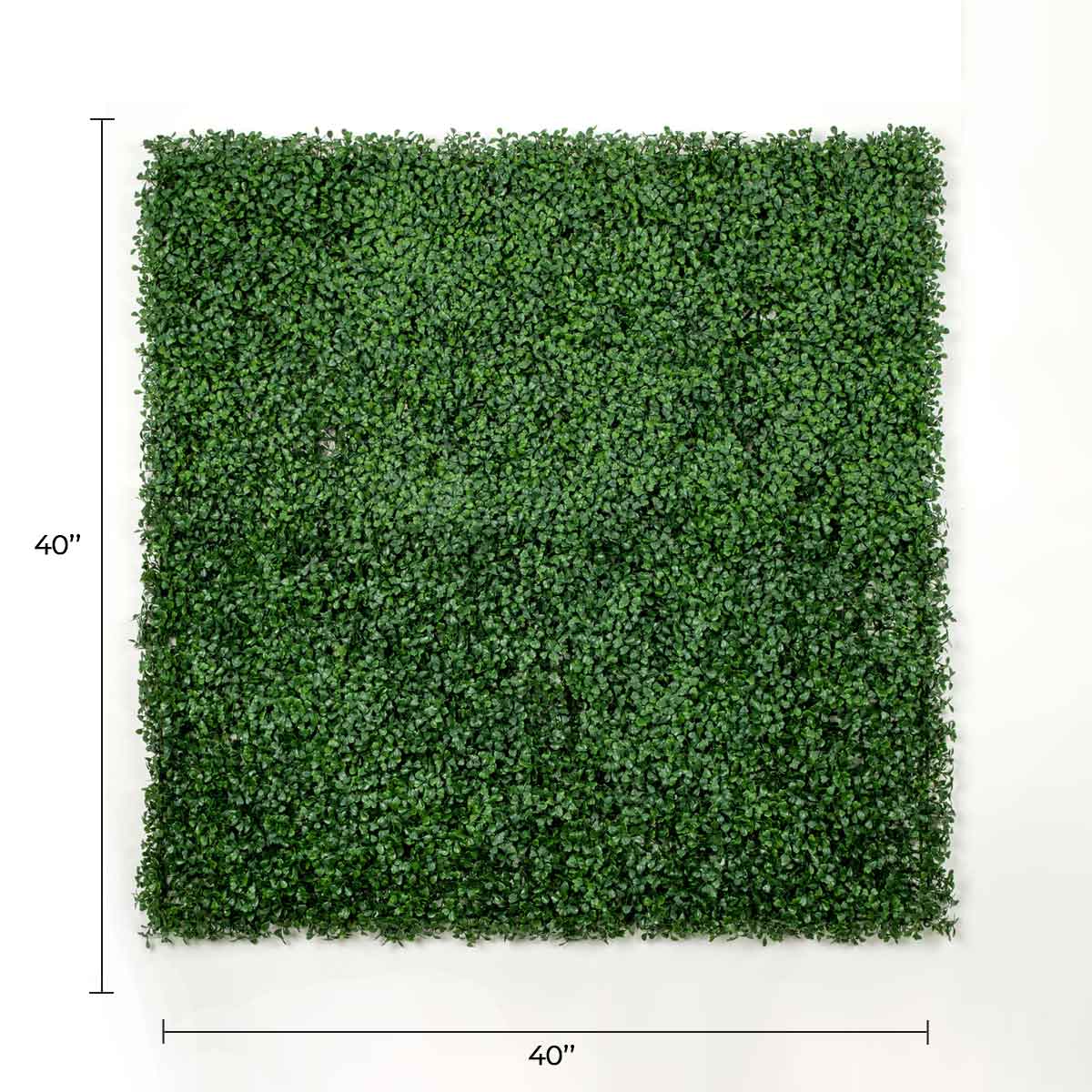 Dark Artificial Boxwood Wall (6 Pieces 40" x 40") 66 SQ FT Set Commercial Grade UV Resistant (EXCESS STOCK PRICE)