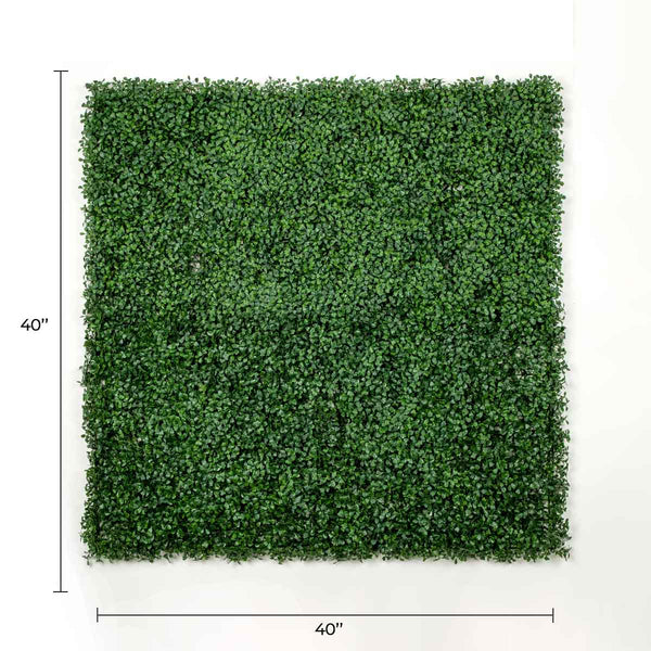 Dark Artificial Boxwood Wall (6 Pieces 40" x 40") 66 SQ FT Set Commercial Grade UV Resistant (EXCESS STOCK PRICE) 