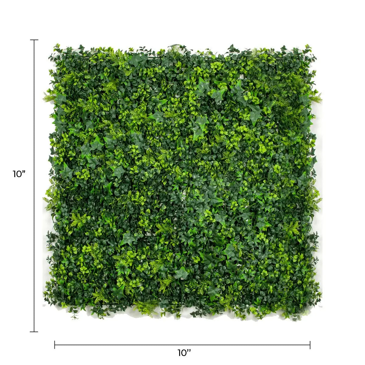 Sample Panel of Mixed Ivy Artificial Green Wall (Small Sample) Commercial Grade UV Resistant 