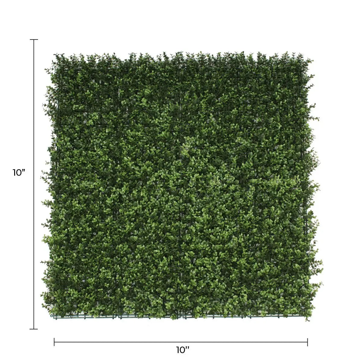 Sample Panel of Natural Artificial Boxwood Wall (Small Sample) Commercial Grade UV Resistant 
