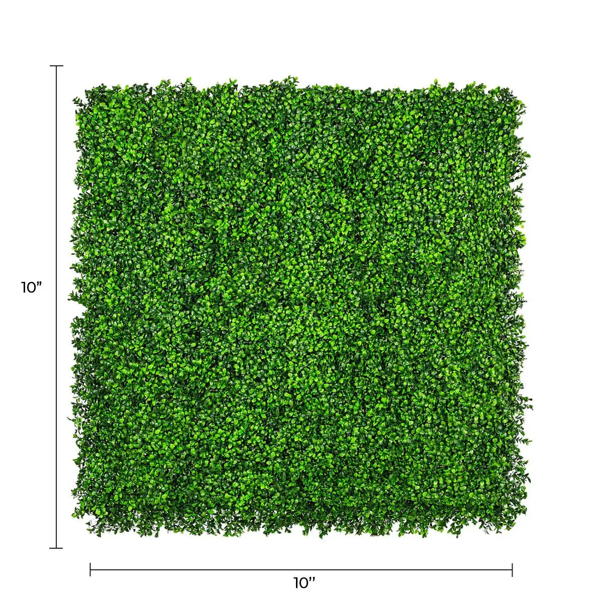 Sample Panel of Premium Bright Artificial Boxwood Wall (Small Sample) Commercial Grade UV Resistant 