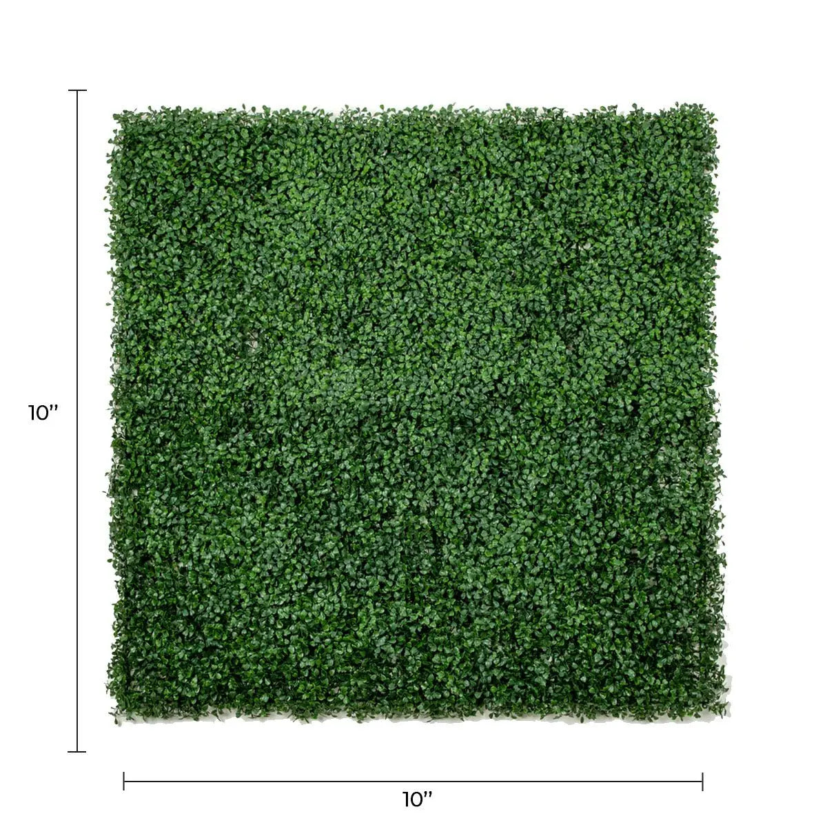 Sample Panel of Premium Dark Artificial Boxwood Wall (Small Sample) Commercial Grade UV Resistant 