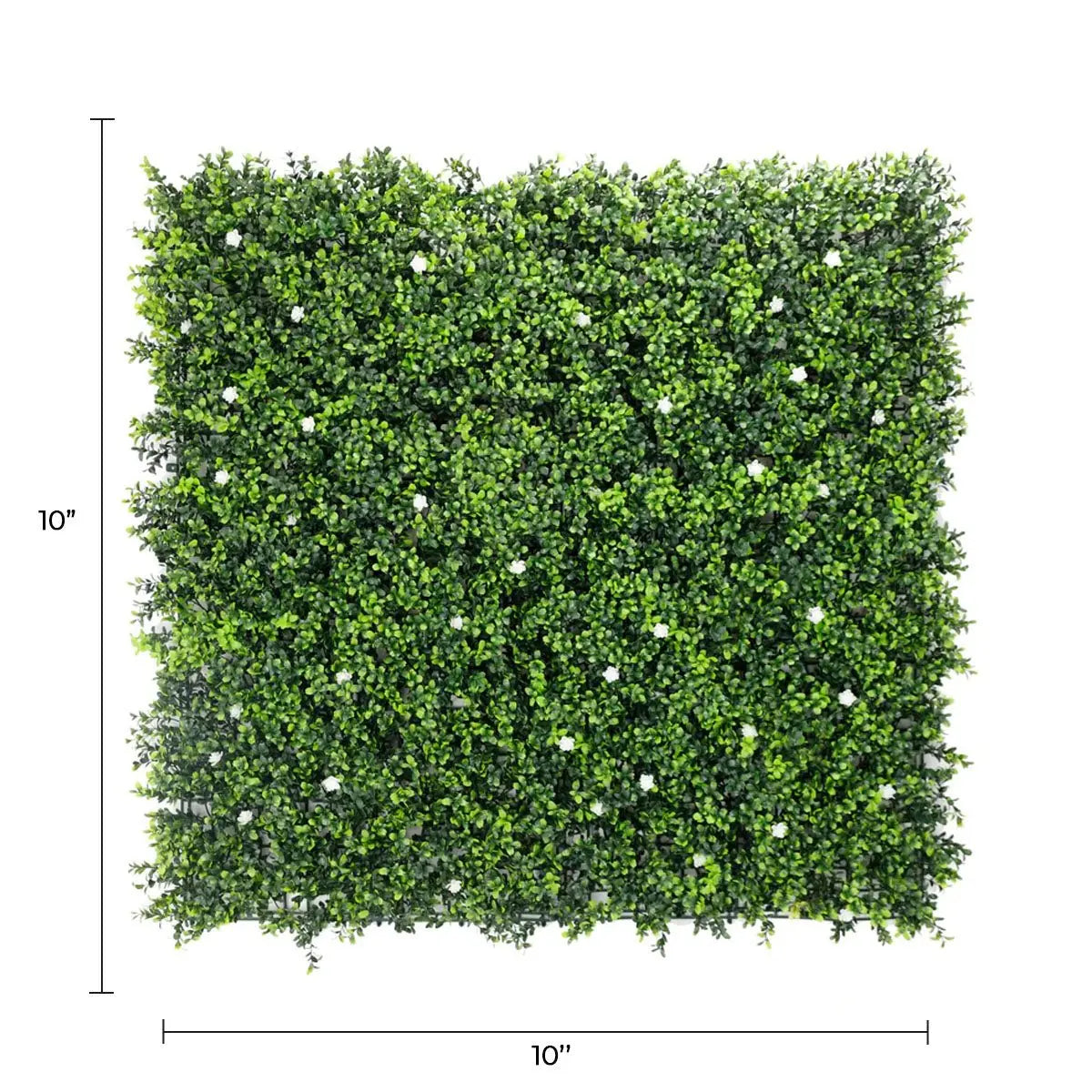 Sample Panel of White Flowering Artificial Boxwood Wall (Small Sample) Commercial Grade UV Resistant 