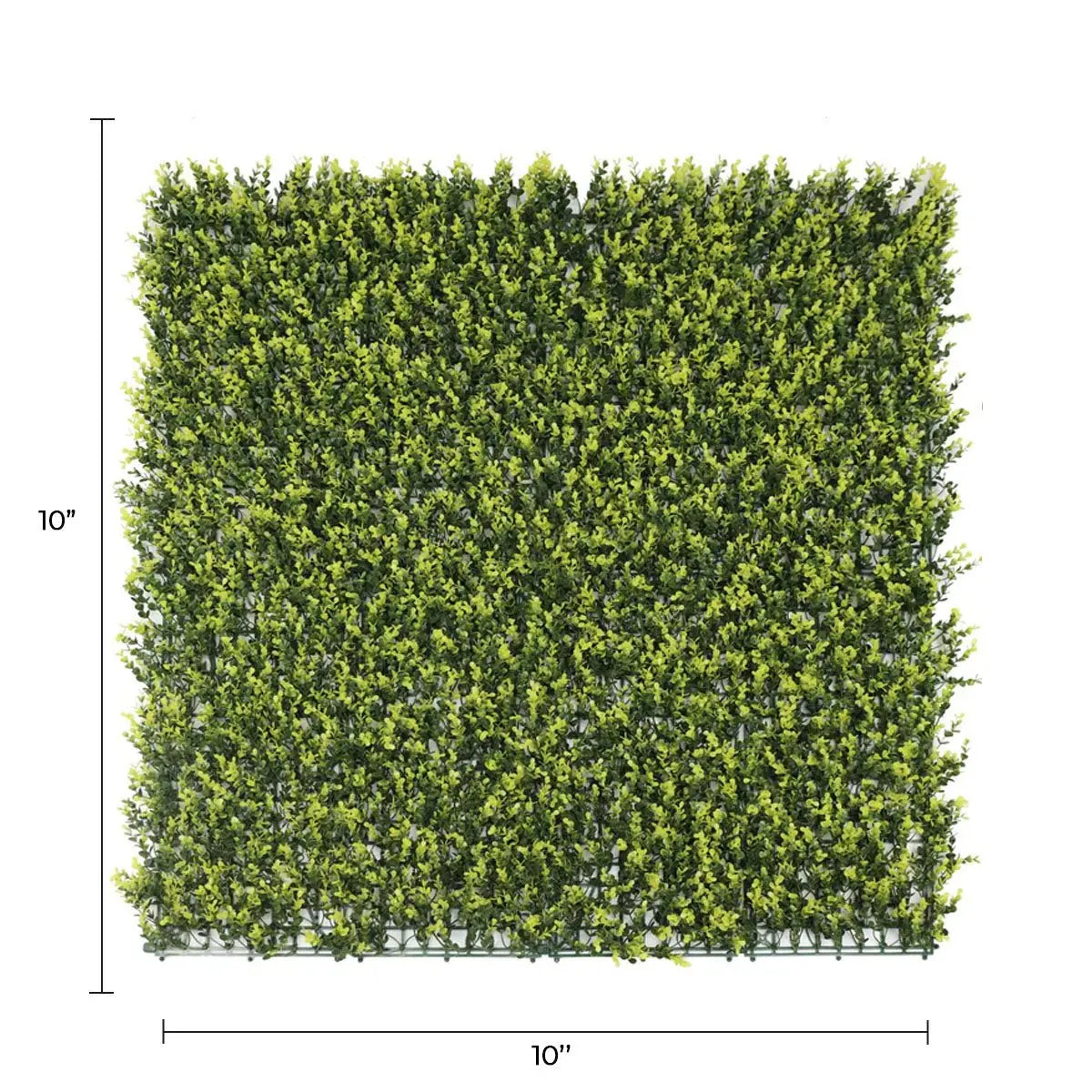 Sample Panel of Yellow English Artificial Boxwood Wall (Small Sample) Commercial Grade UV Resistant 