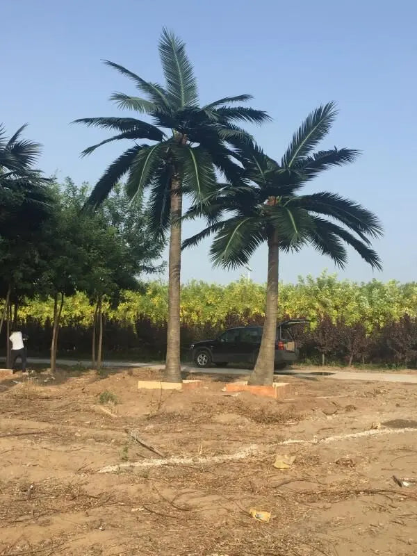 Ultra-realistic artificial palm tree designed for commercial outdoor use