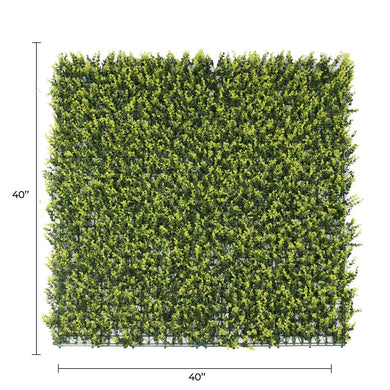 Yellow English Artificial Boxwood Wall 40" x 40" 11SQ FT Commercial Grade UV Resistant 