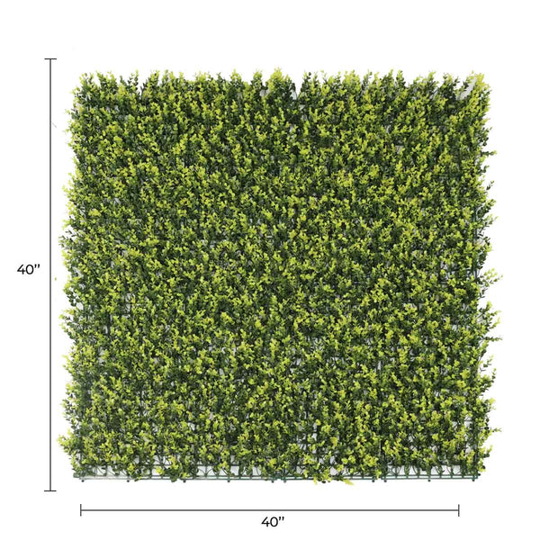 Yellow English Artificial Boxwood Wall 40" x 40" 11SQ FT Commercial Grade UV Resistant 