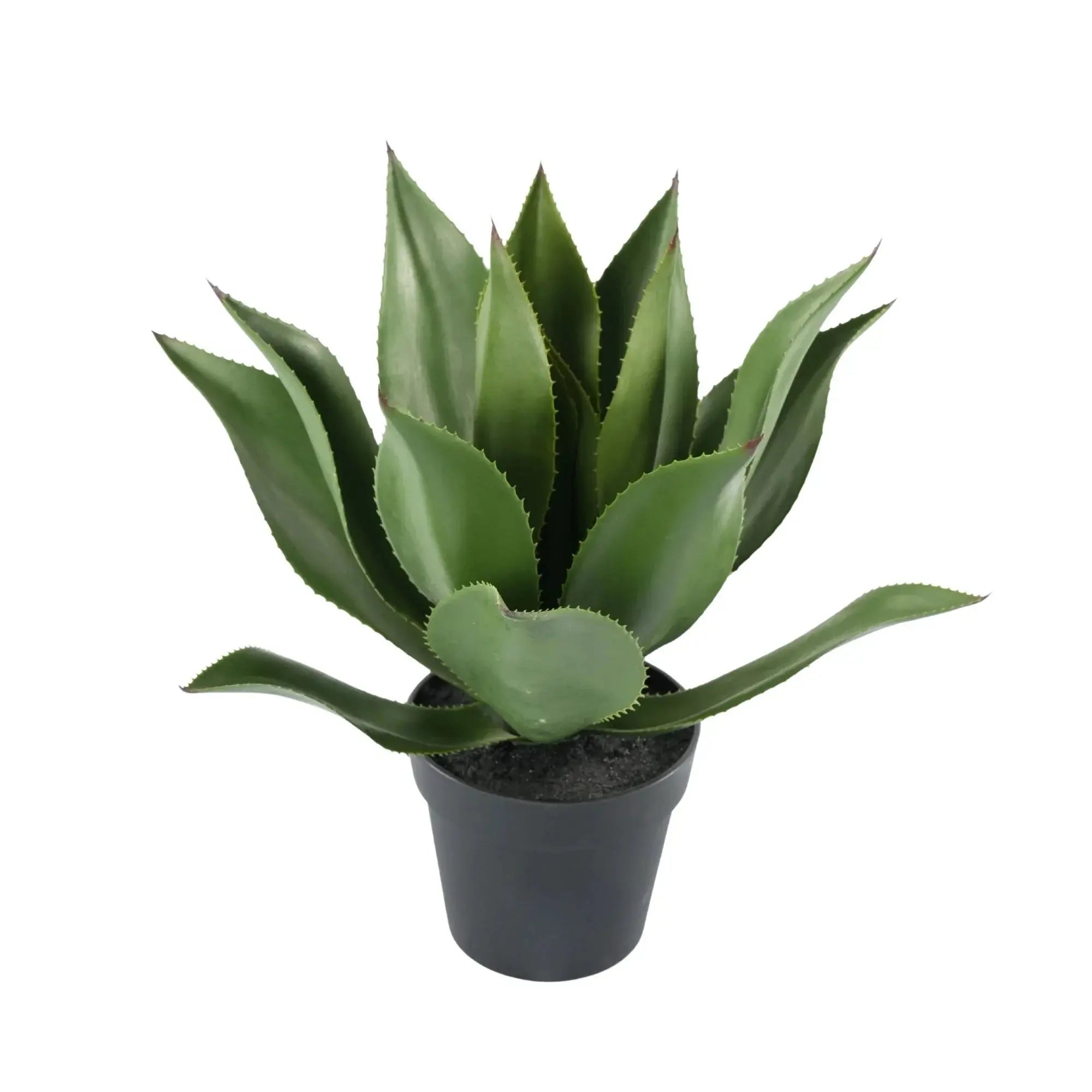 Premium Artificial Agave - Large Potted UV Resistant Agave 21.7in High x 17.7in Wide 