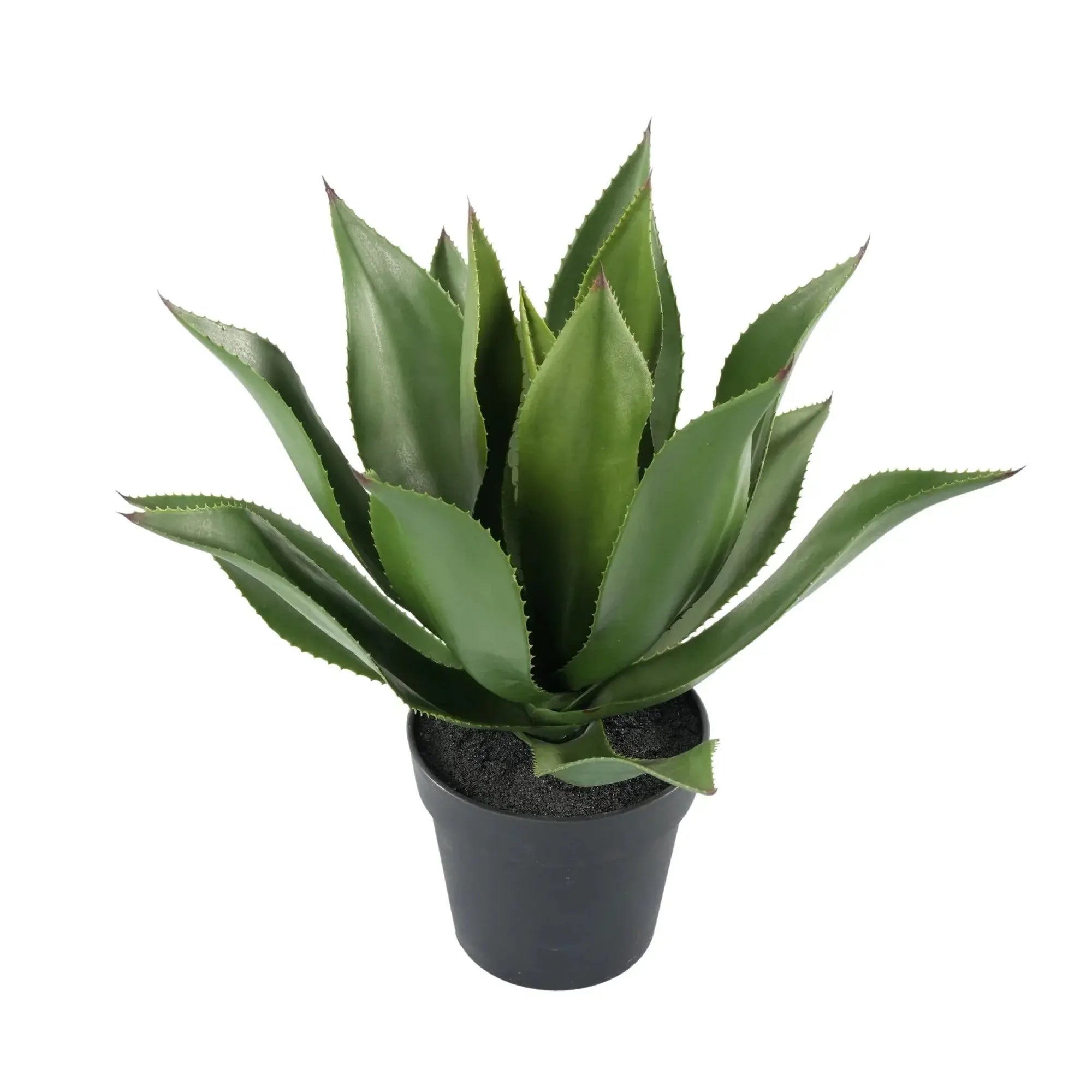 Premium Artificial Agave - Large Potted UV Resistant Agave 21.7in High x 17.7in Wide 