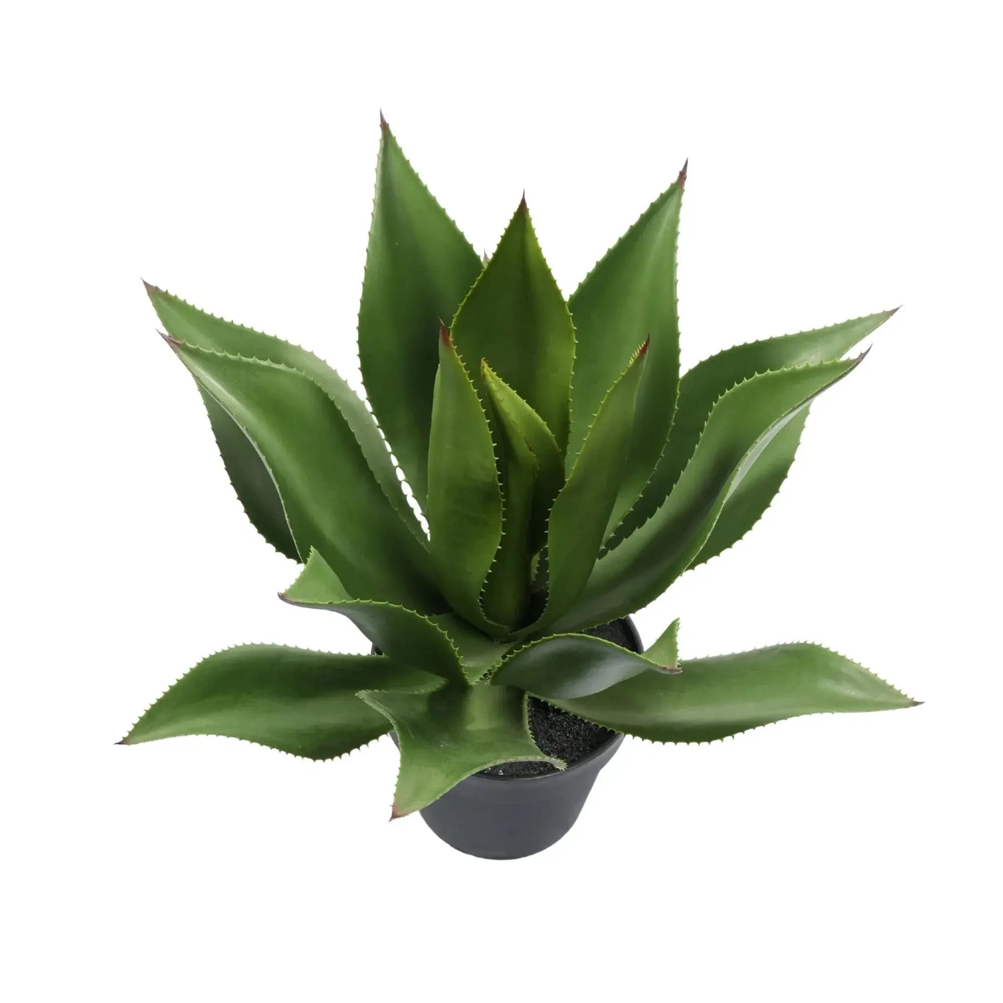 Premium Artificial Agave - Large Potted UV Resistant Agave 21.7in High x 17.7in Wide 