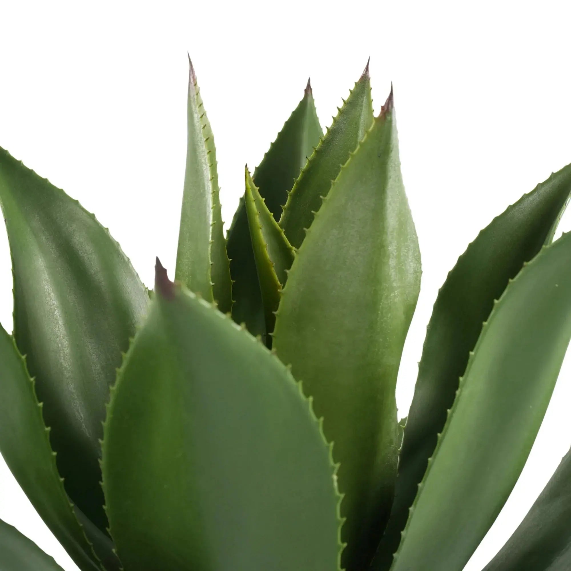 Premium Artificial Agave - Large Potted UV Resistant Agave 21.7in High x 17.7in Wide 