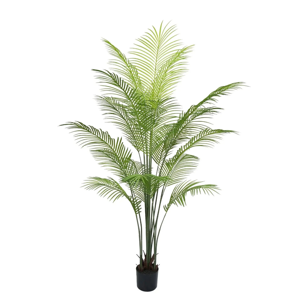 Premium Dense Artificial Palm Tree 70.9in Areca Faux Tree (Knock Down) 