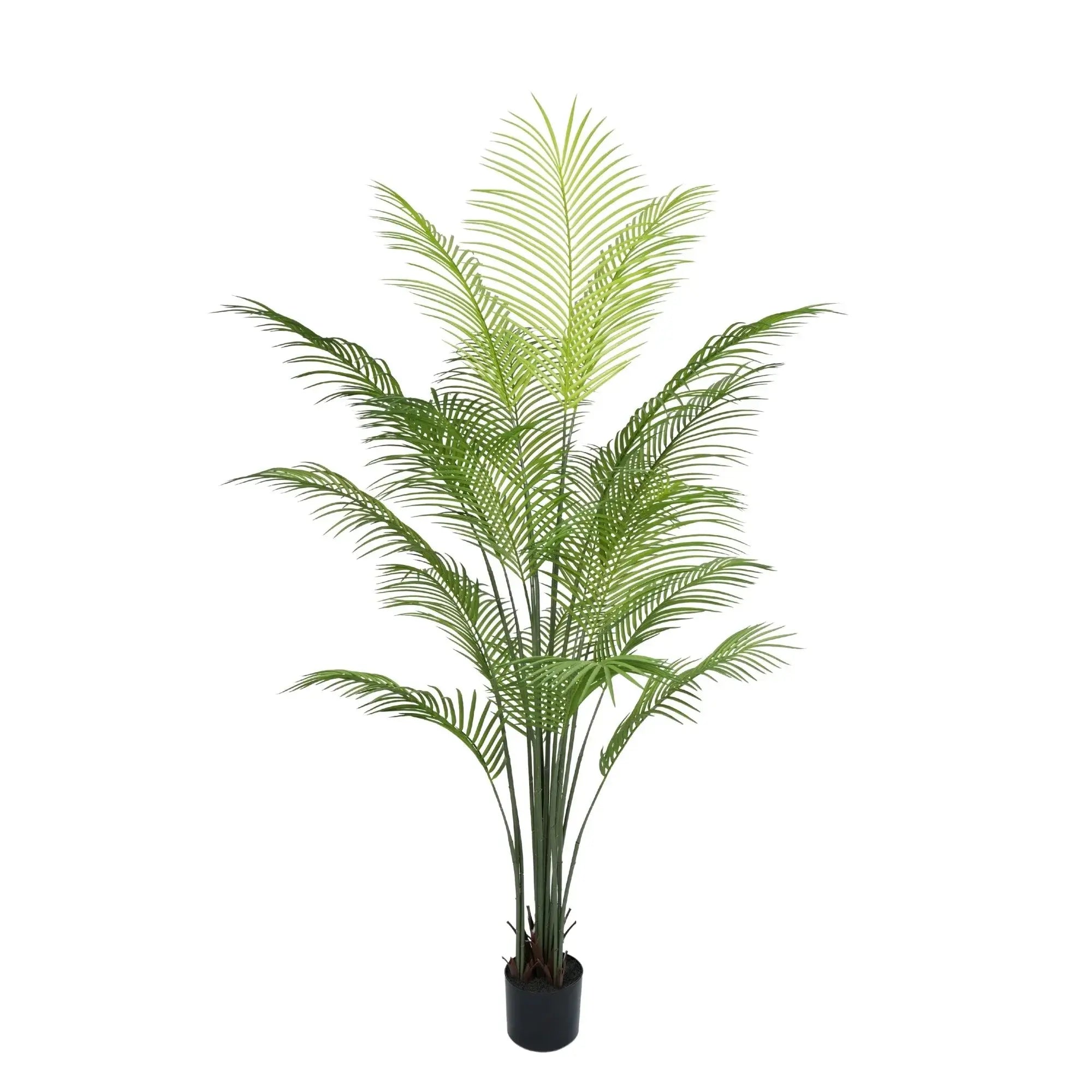 Premium Dense Artificial Palm Tree 70.9in Areca Faux Tree (Knock Down) 