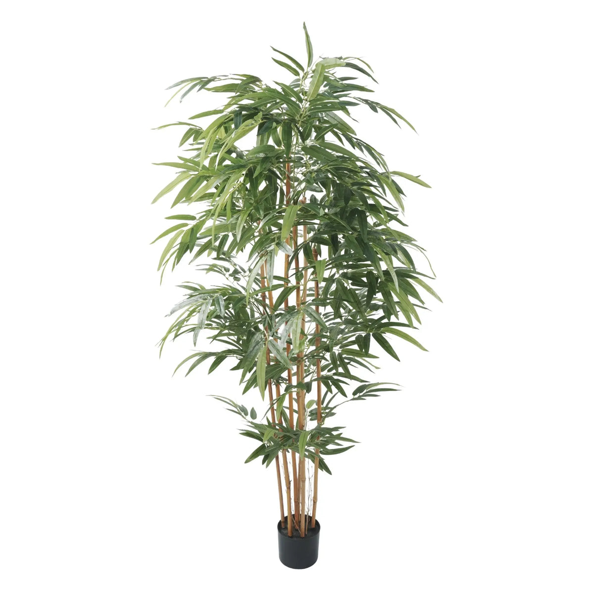 Premium Potted Artificial Bamboo with Natural Trunk 70.9in 