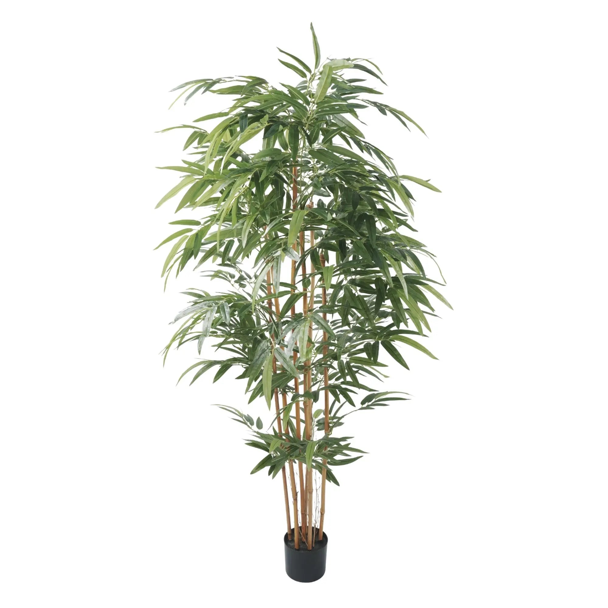 Premium Potted Artificial Bamboo with Natural Trunk 70.9in 