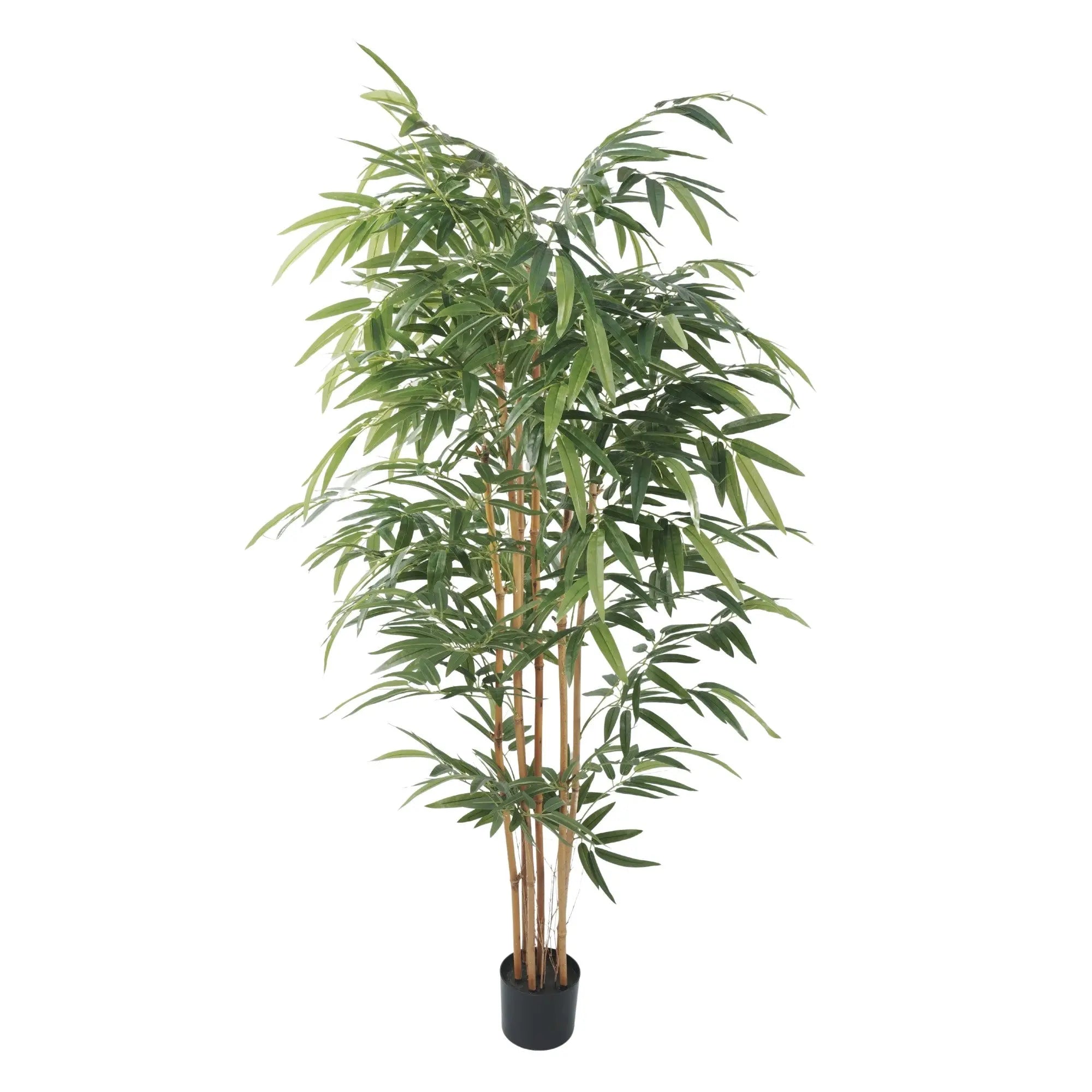 Premium Potted Artificial Bamboo with Natural Trunk 70.9in 
