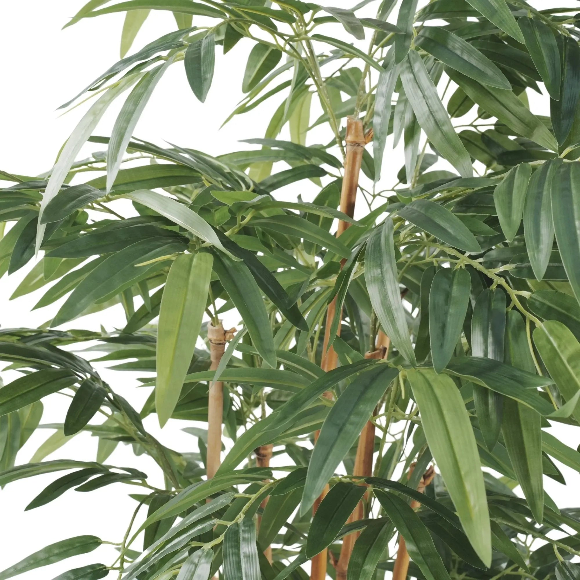 Premium Potted Artificial Bamboo with Natural Trunk 70.9in 
