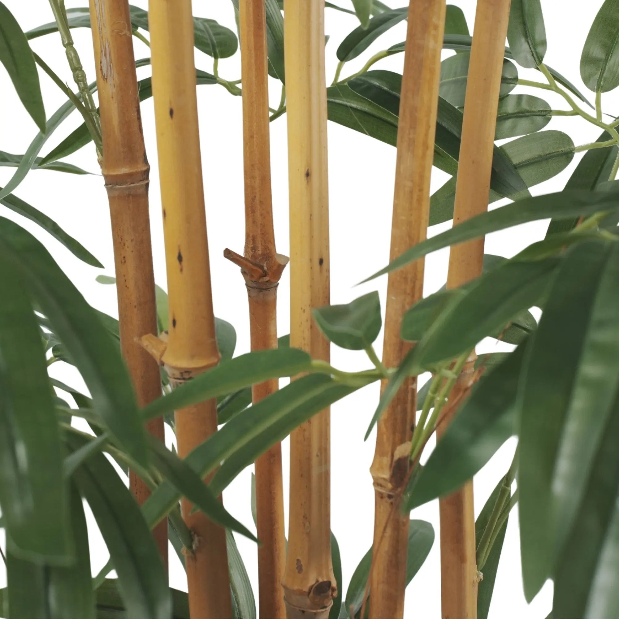 Premium Potted Artificial Bamboo withNatural Trunk 59.1in 