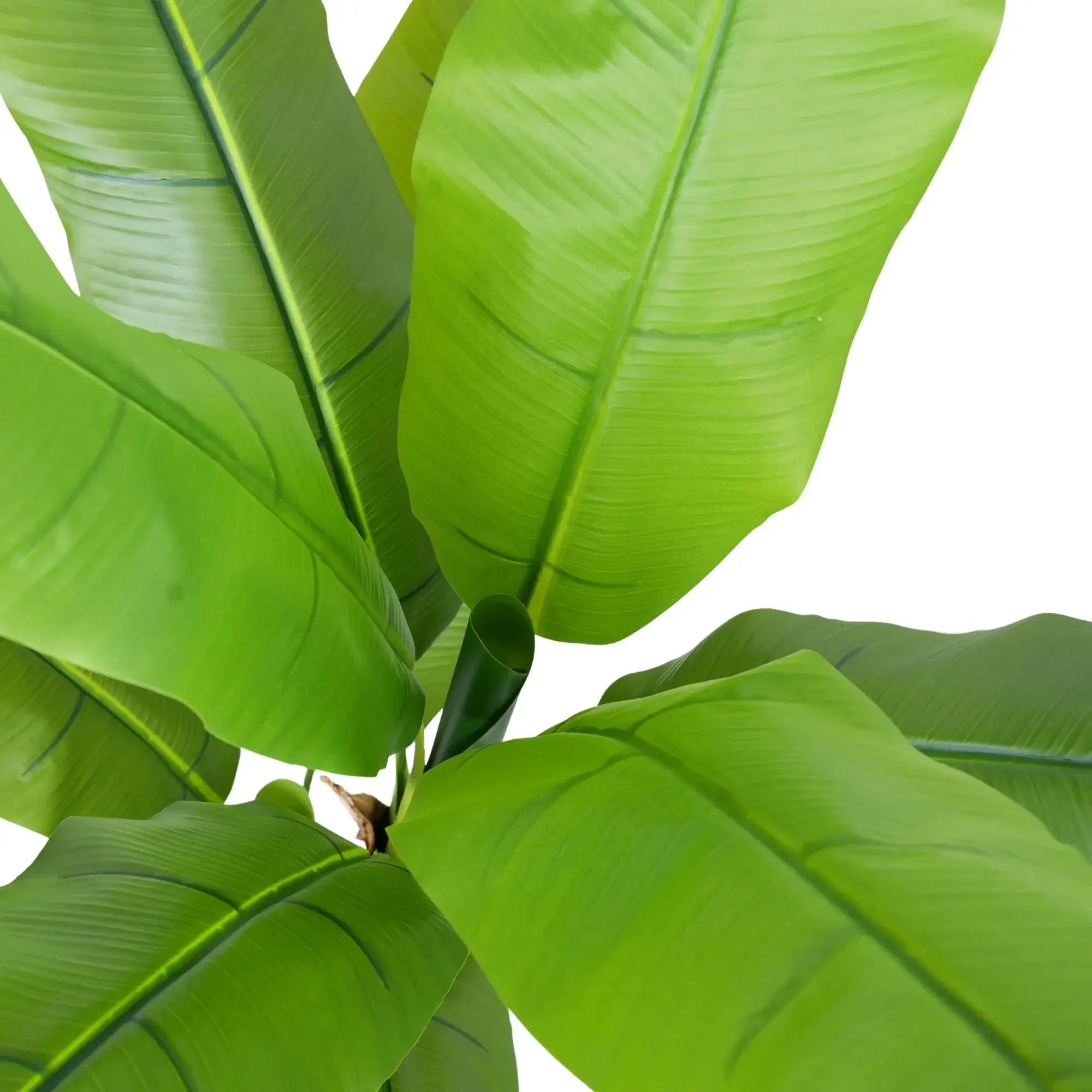Premium Artificial Wide Leaf Banana Tree 47.2in 