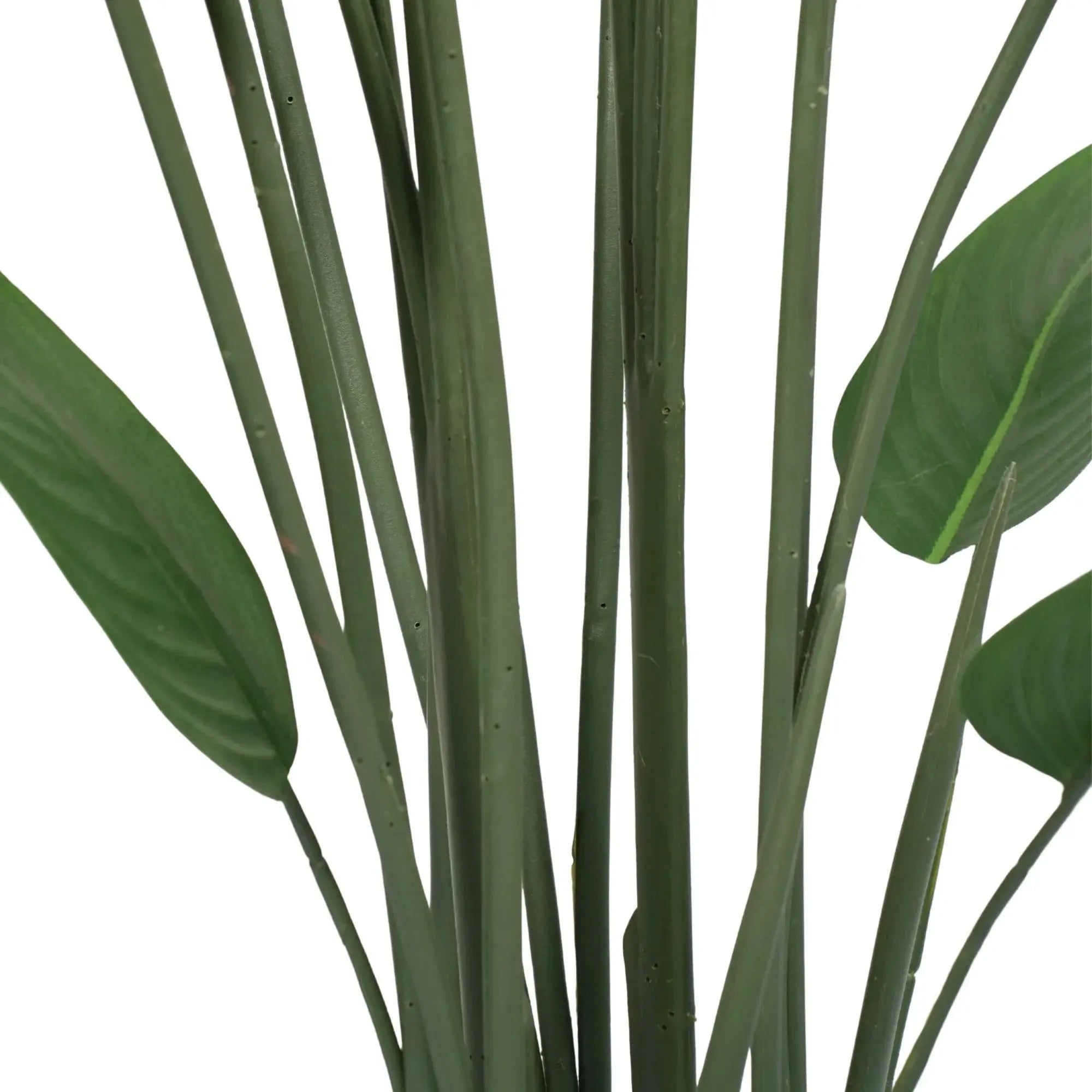 Premium Artificial Bird of Paradise 47.2in (Knock Down) 
