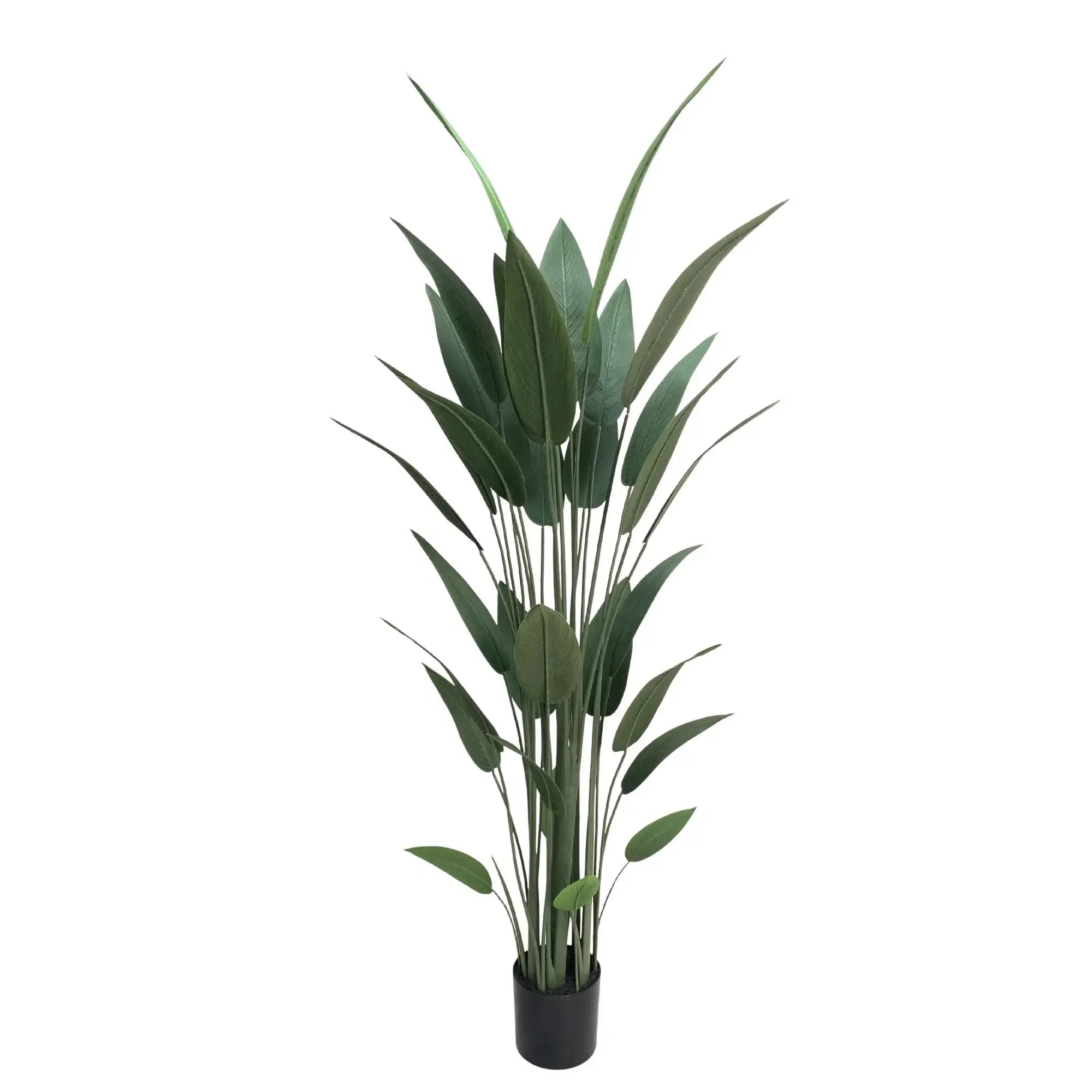 Premium Artificial Bird of Paradise 82.7in (Knock Down) 