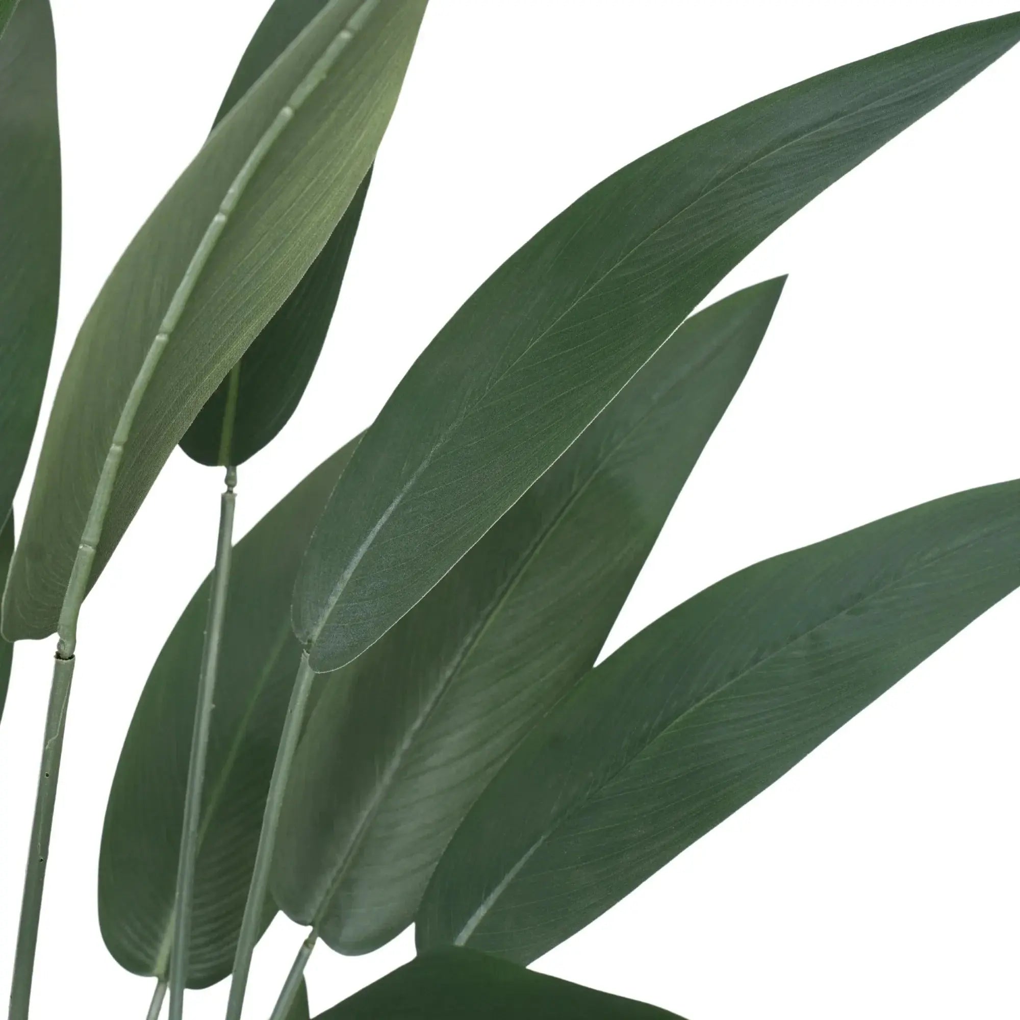 Premium Artificial Bird of Paradise 82.7in (Knock Down) 