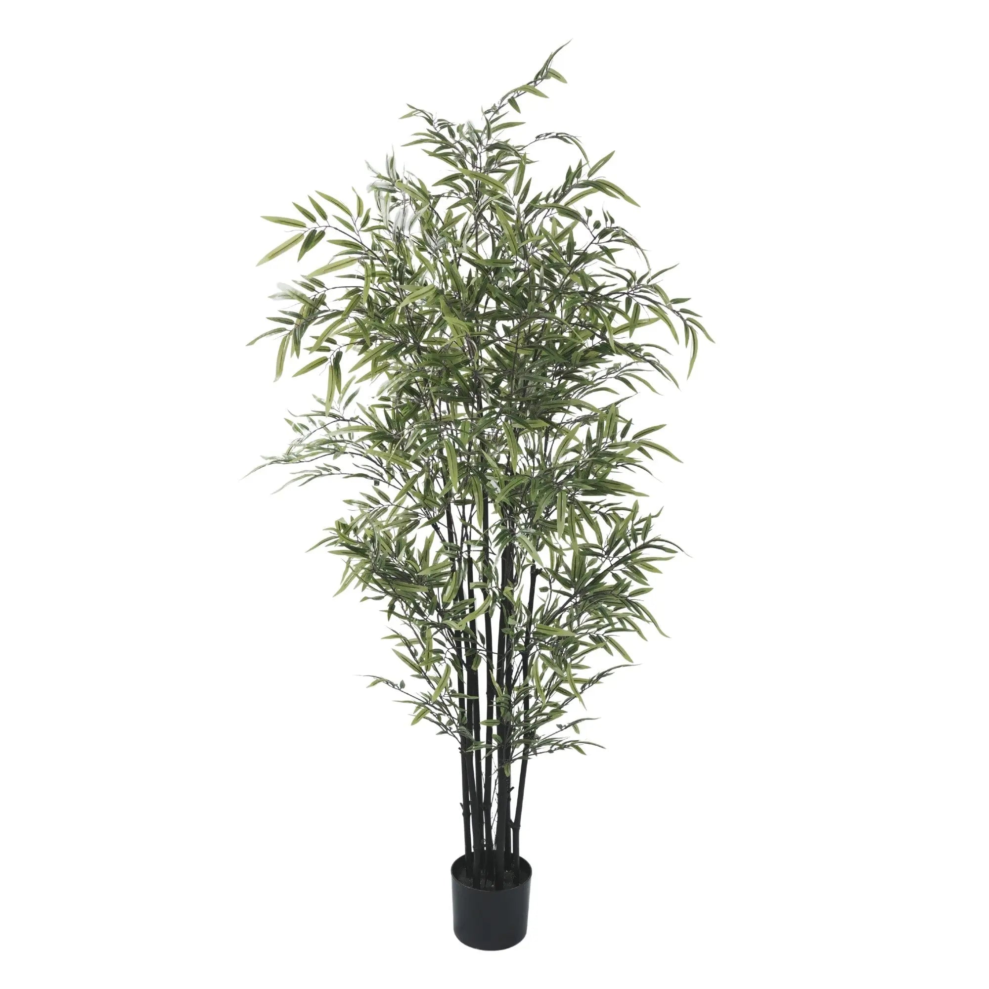 Premium Dense Artificial Black Bamboo 59.1in 