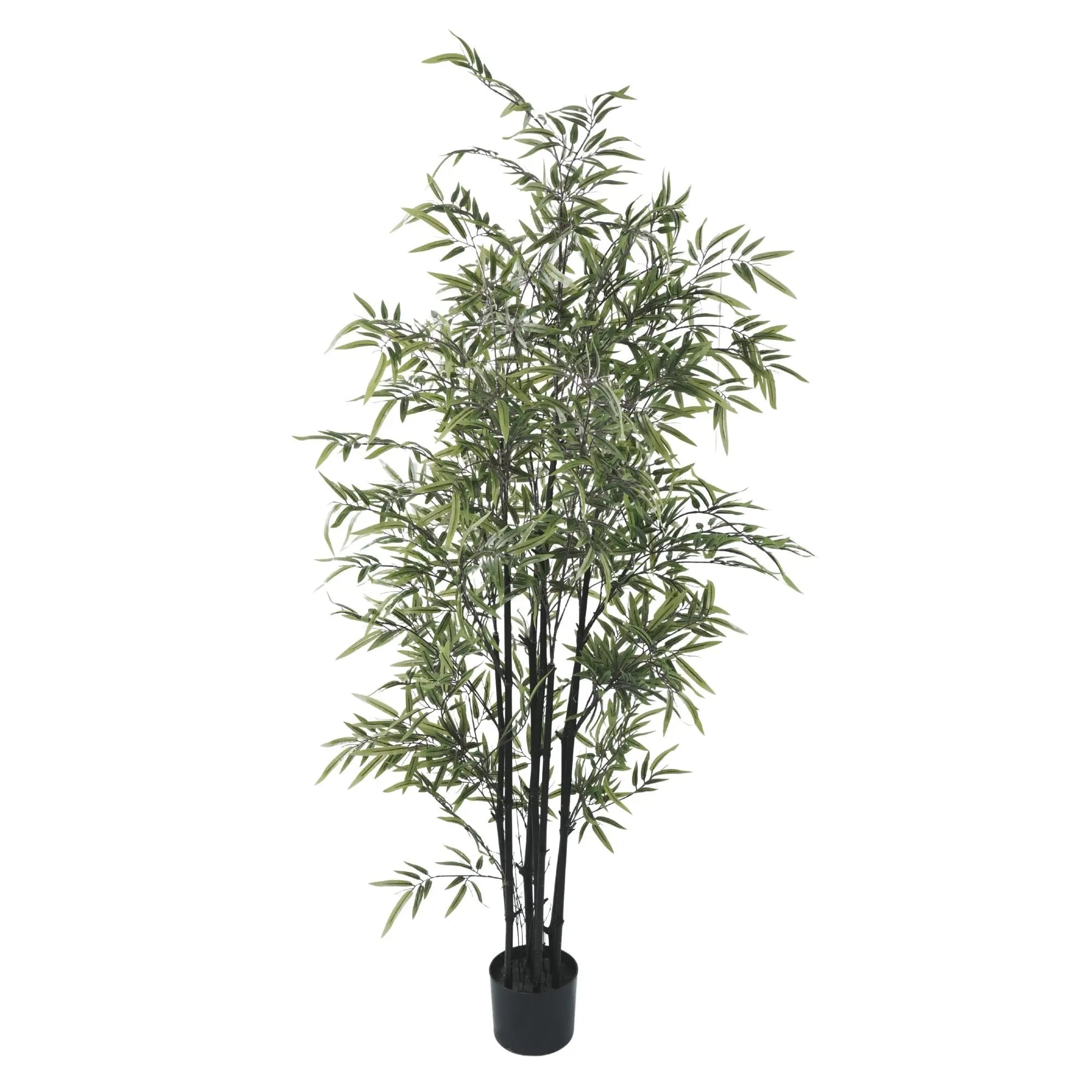 Premium Dense Artificial Black Bamboo 59.1in 