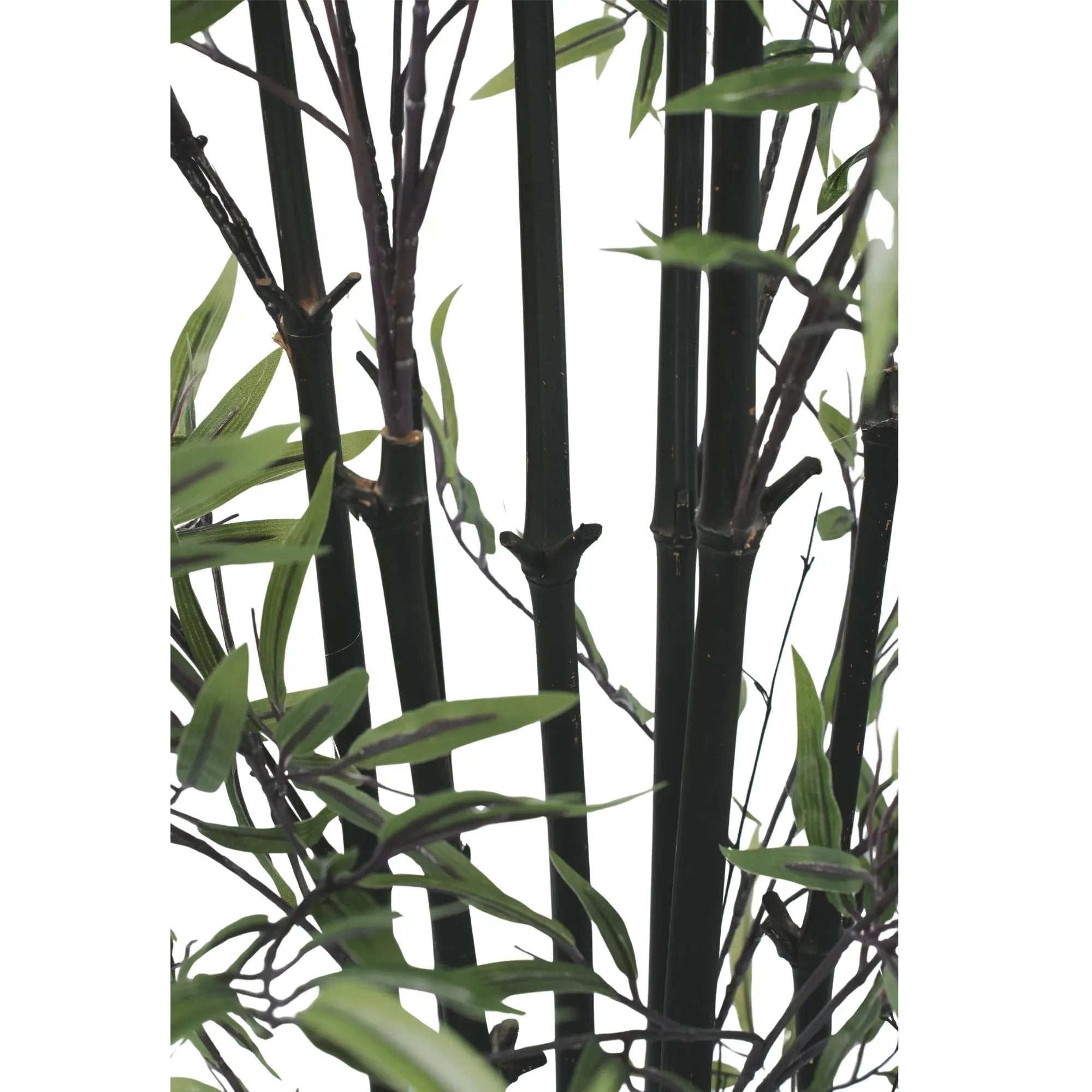 Premium Dense Artificial Black Bamboo 59.1in 