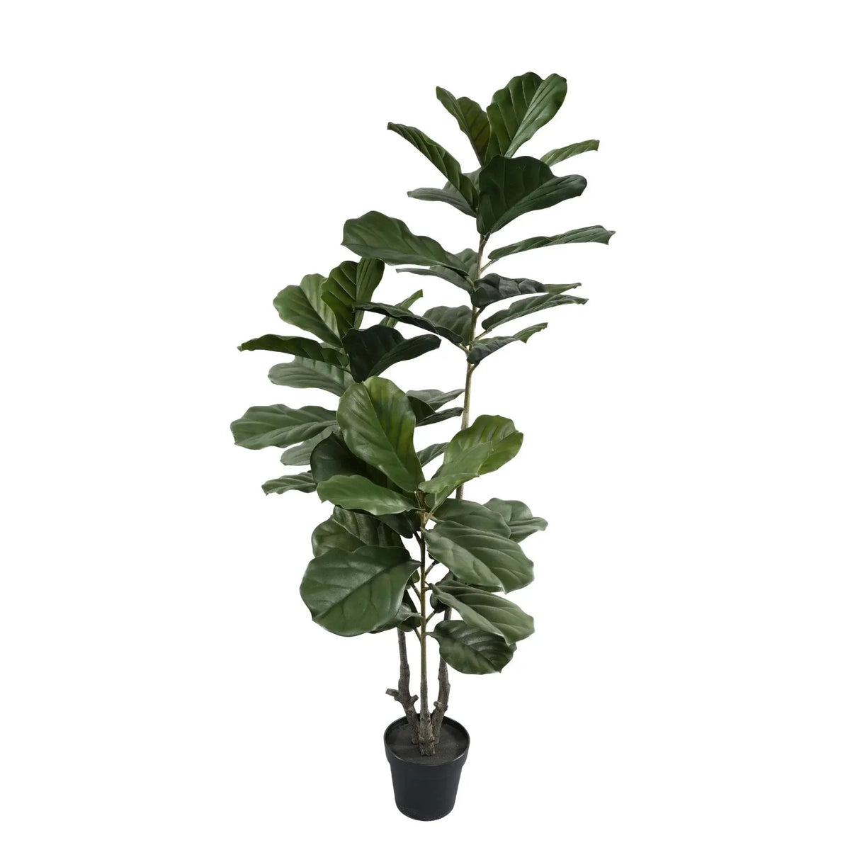 Multi-stem artificial fiddle leaf fig tree 63in in a black pot