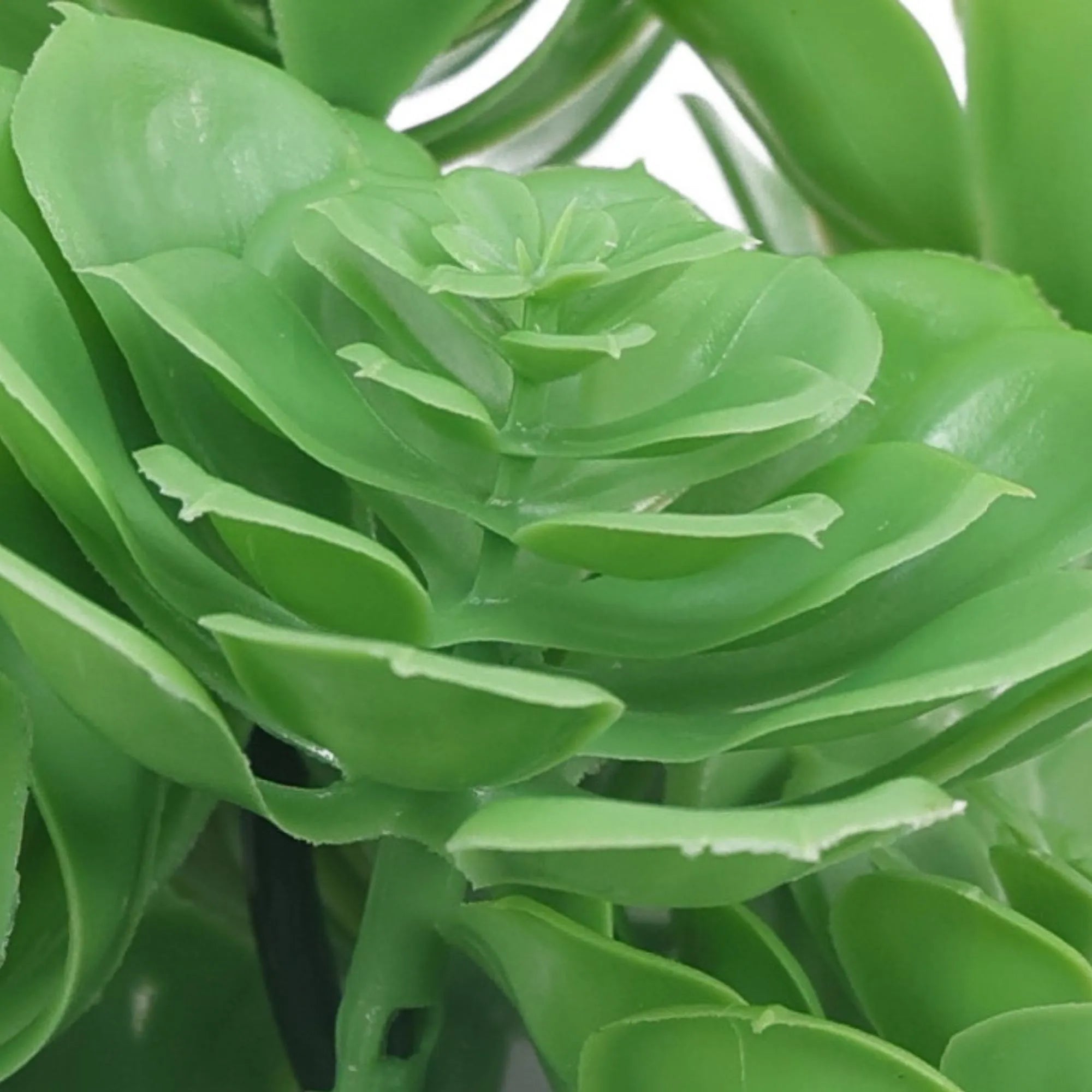 Set of 5 Faux Green Aeoniums Succulent Plants (11.8") UV Resistant