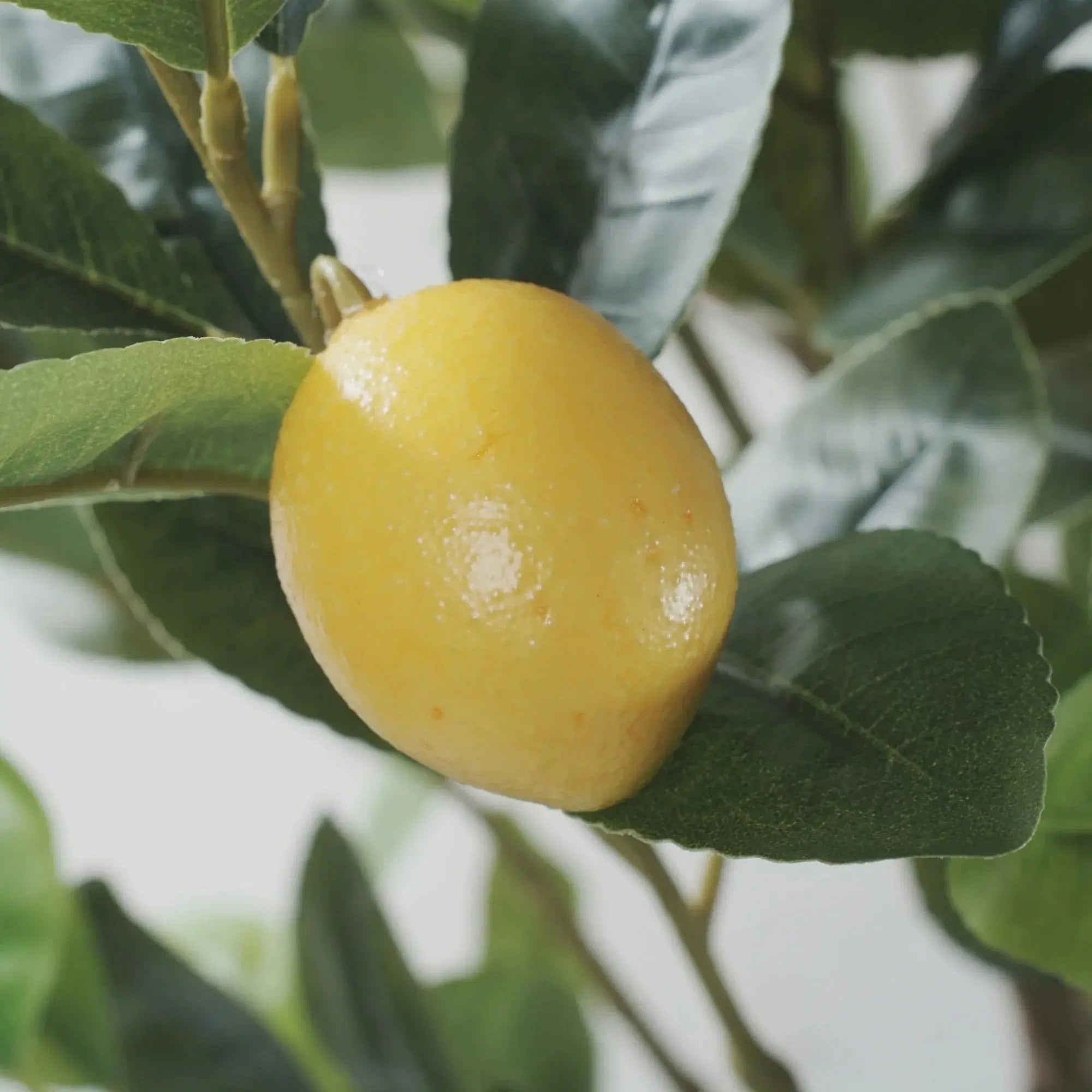 Premium Artificial Lemon Tree 63.0in 