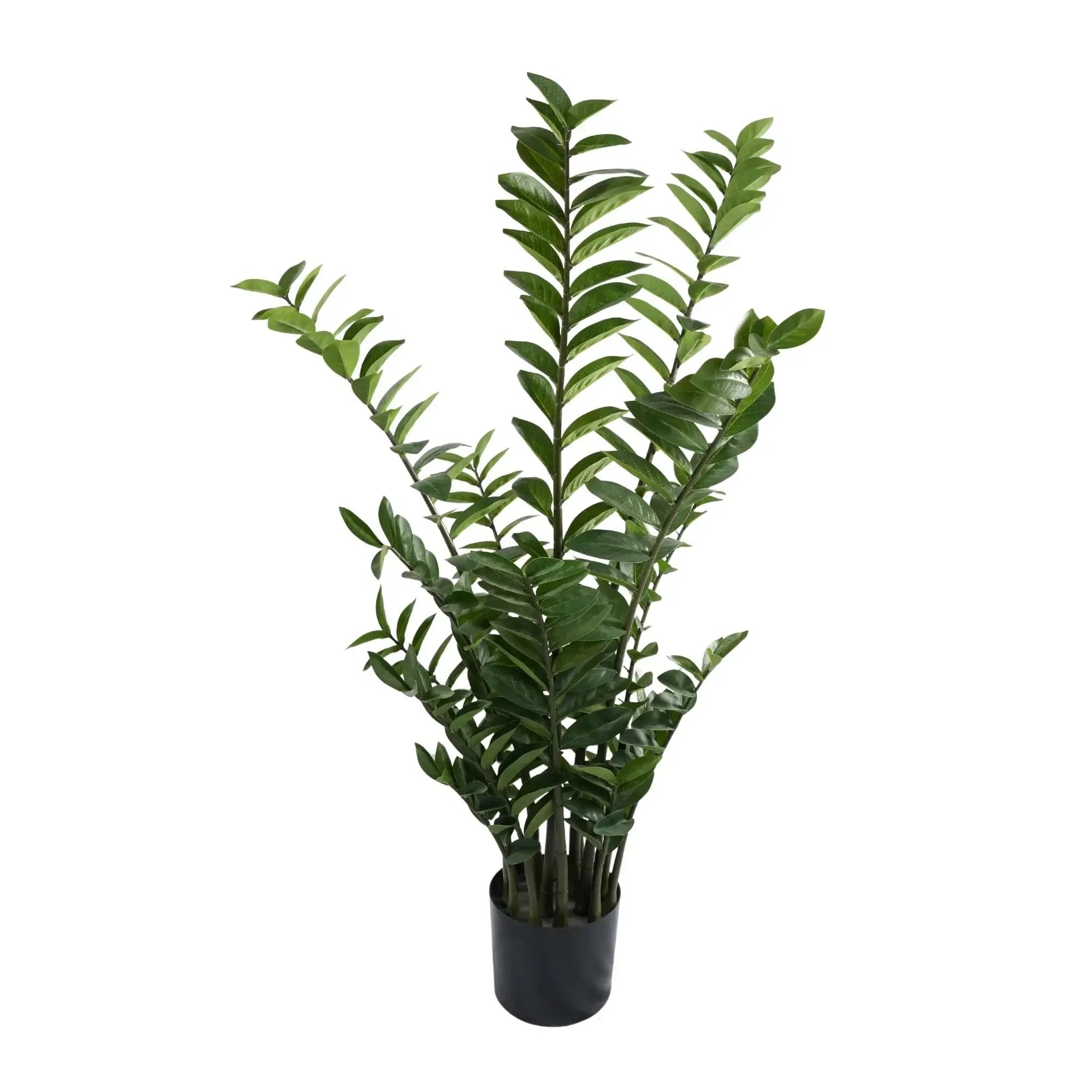 Premium Hand Crafted Artificial Zanzibar Gem Plant 51.2in Multi-stem 