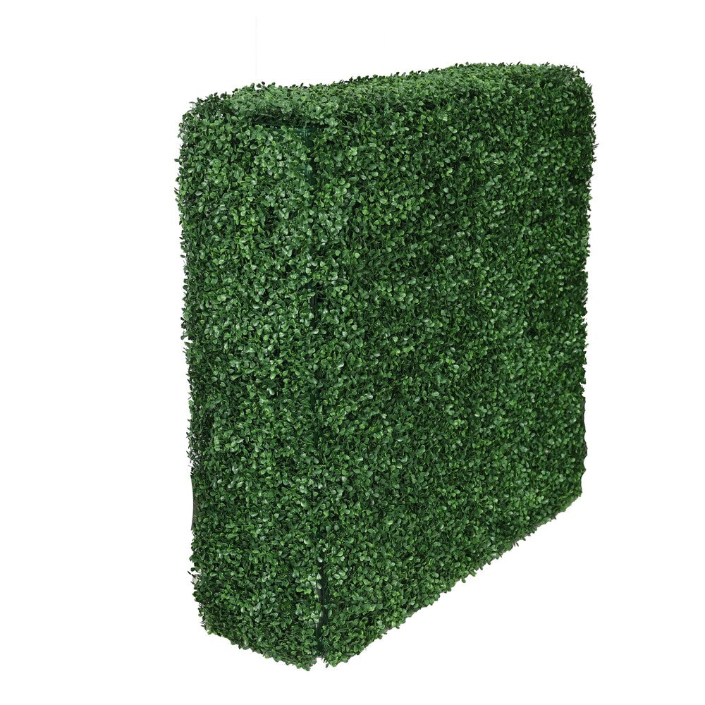 Boxwood hedge top view.
