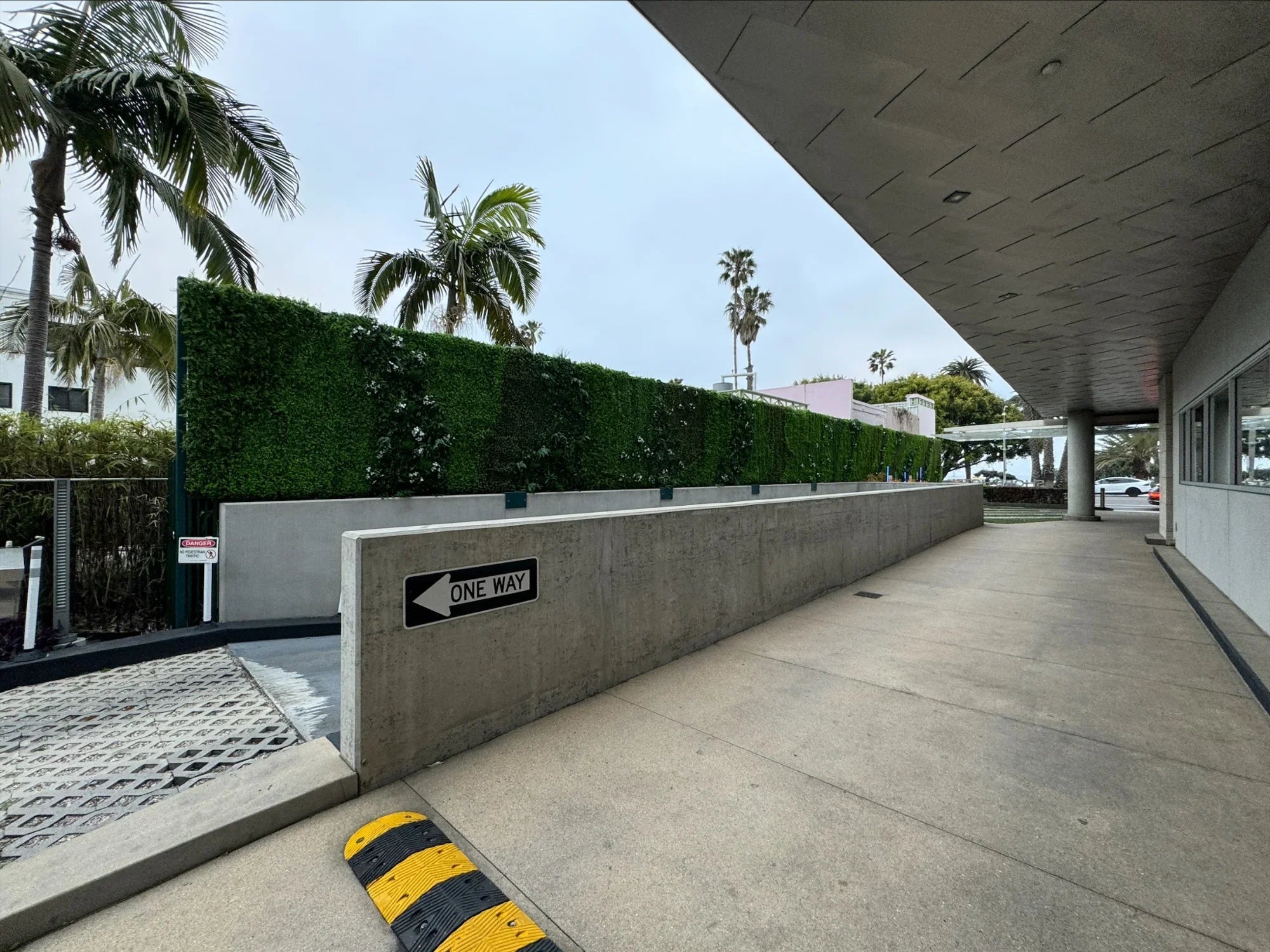 Natural Artificial Boxwood Wall 40" x 40" 11SQ FT Commercial Grade UV Resistant
