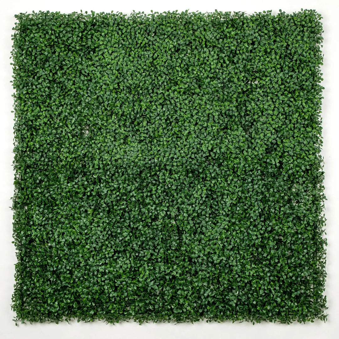 Dark green artificial boxwood hedge wall panel 40x40in with dense UV-resistant foliage