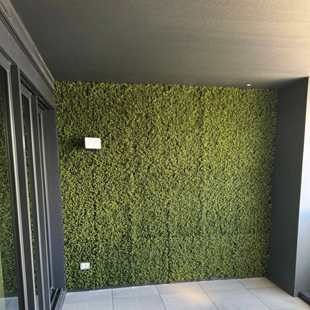 Floor-to-ceiling artificial green wall framed by charcoal wall panels in a commercial interior.