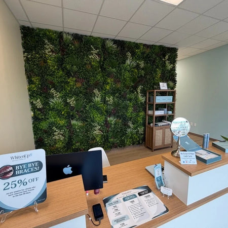 Artificial green wall behind the reception desk of a dental clinic in North Carolina.