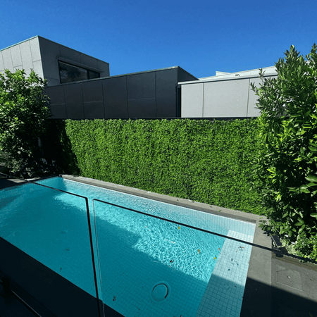 Tall artificial hedge behind a glass-edged pool on a sunny day.