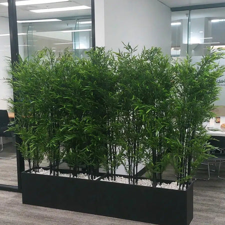 Artificial bamboo in black planters forming a privacy screen in a bright office.