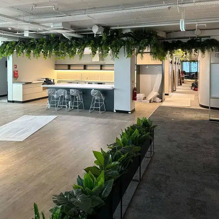 Open office kitchen with artificial hanging greenery above the counter and planters along the floor.